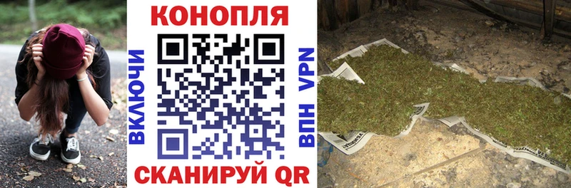 где купить Фурманов МАРИХУАНА сатива